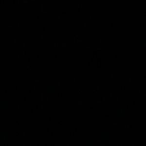 Meet your Posher, Ava